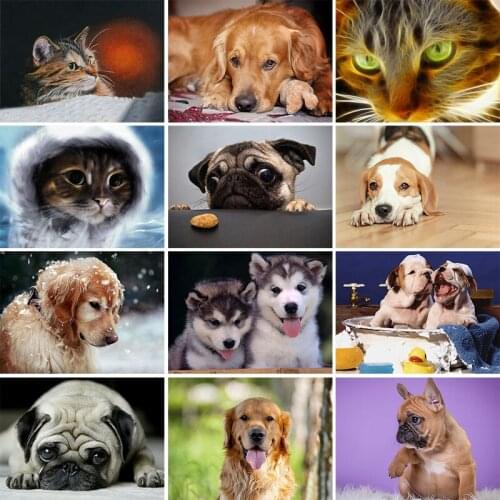 DIY Dog Cat Diamond Painting 5D Full Square Round Drill Animal Pug Pet Diamond Embroidery Mosaic Home Decor