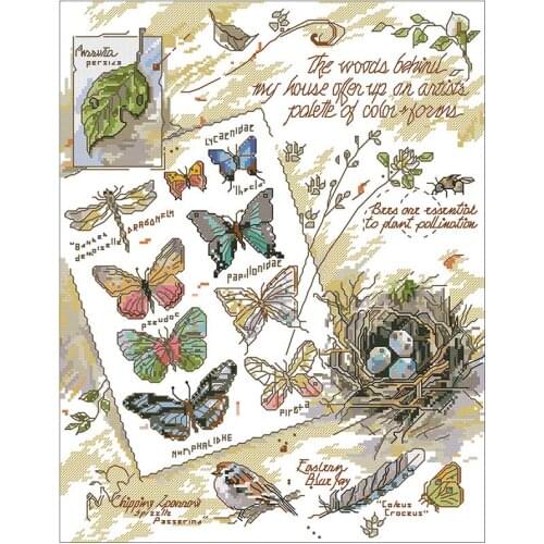 Butterfly specimen patterns Counted Cross Stitch 11CT 14CT 18CT DIY Cross Stitch Kits Embroidery Needlework Sets home decor