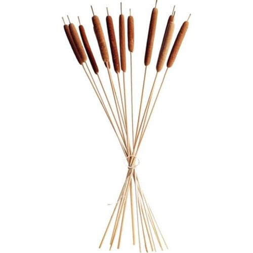 Free Shipping 5pcs reed stick home bonsai decor natural plants cattail 10 pcs dried plants flowers bouquets raw color
