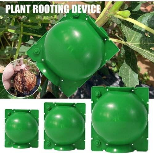 3/6/9 Pcs Plant Root Growing Box High Pressure Gardening Plant Rooting Ball Breeding Case for Garden Grafting Rooting Plant Box