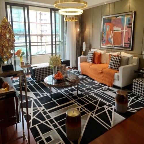 Nordic Geometric Carpet livingroom Bedroom Acrylic Hallway Rugs Large Size Modern Carpet Kids Room Soft Sofa tapete Outdoor Carp