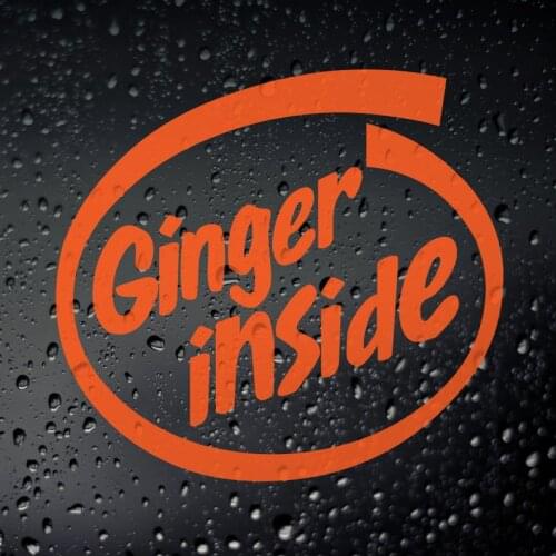 Ginger Inside Funny Car Window Sticker - JDM Jap Campervan Off Road Rat Look