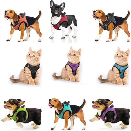 Pet Mesh Dog Harness Leash Breathable Heat Dissipation Set Vest Puppy Chest Strap General Dogs Cat Leash Products Accessorie