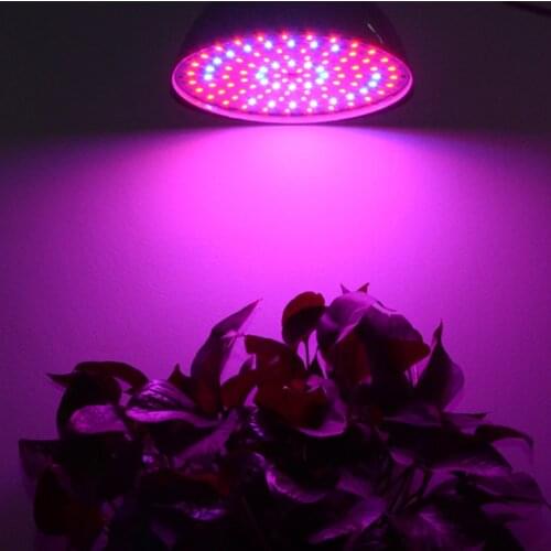 Apucoo Plant Lamps