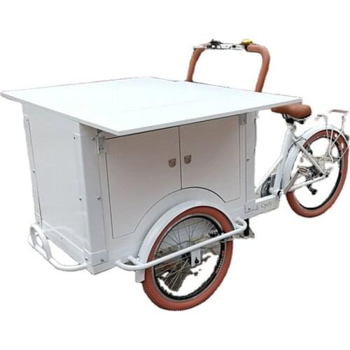 Foldable Electric Tricycle Bakfiets with Carriage Adult 3 Wheels Cargo Bike for Vending Fruit Food Vegetable Flower