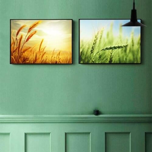 Canvas Painting Gold / Green Wheat Mature Pictures Wall Decor Gift Print Art Poster for Bedroom Corridor Living Room Decoration