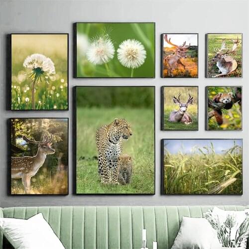 Dandelion Grass Plant Wall Art Poster Deer Leopard Squirrel Animals Canvas Painting Mountain Forest Scenery Art Print Home Decor