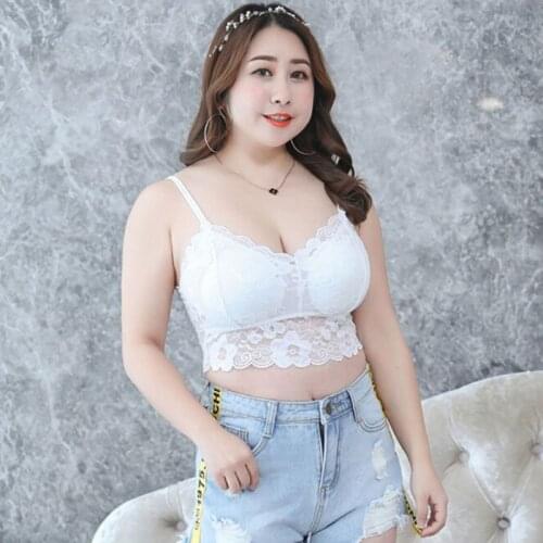 Womens Plus Size Sexy Deep V-Neck Crop Top Seamless Scalloped Sheer Floral Lace Bralette Padded Wireless Underwear Vest XL-3XL
