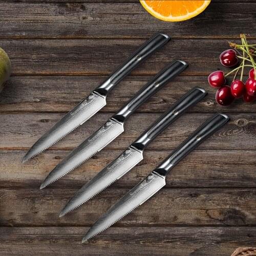 SUNNECKO 4×5 inch Steak Chef Knife Kitchen Knives Set Japanese Damascus VG10 Steel Sharp Blade 60HRC G10 Handle Cutting Tools