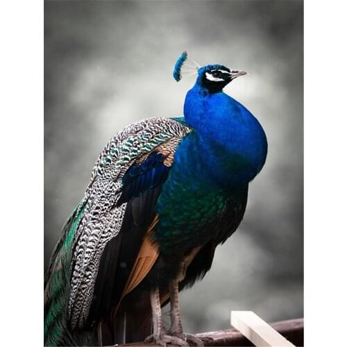 DIY Diamond 5D Embroidery Paintings Resin Square Rhinestone Full Pasted Unfinished Halloween painting Cross Stitch Peacock