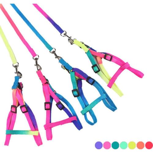 1 PCS Szelki Dla Psa Leash For Dog Cats Cheap Leashes Pet Supplies Adjustable Separation Rainbow Nylon Small Rabbit Cat Collar