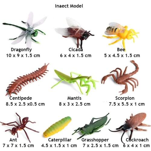 10pc/set Original Wild Animals Mantis Ant Dragonfly Bee Centipede Model Action Figurines Miniature Collection Toy For Kids