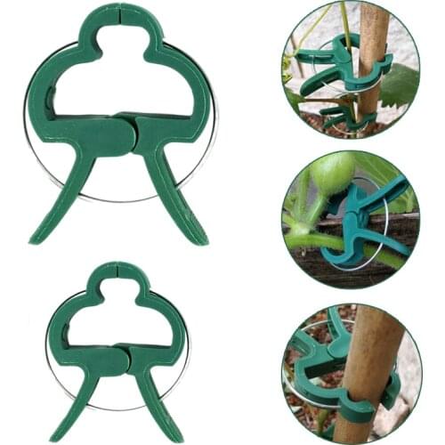 5-10pcs Reusable Green Garden Plant Fixed Clips for Greenhouse Vegetables Flowers Stem Vines Grape Clamp Stakes Support Fastener