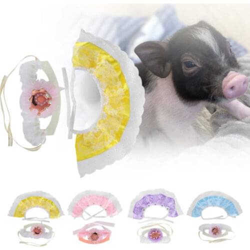 Habitat Decor Pet Birthday Costume Set Little Pig Cute Lace Bandana Bib Scarf Crown Hat Pet Supply Terrarium Cage Decoration
