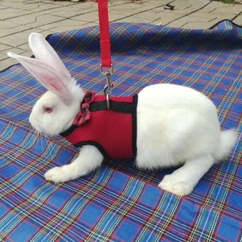 KIMHOME PET Goods For Sports And Recreation