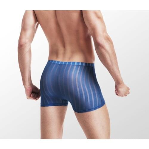 Summer ultra-thin sexy transparent breathable men ice silk boxer shorts man panties striped boxer underwear mens