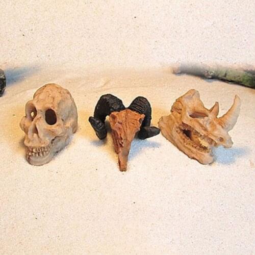 Aquarium Resin Rhinoceros Horned Skull Goat-Head Shape Fish Tank Ornament Spider Scorpion Lizard Aquarium Shelter in Decorations