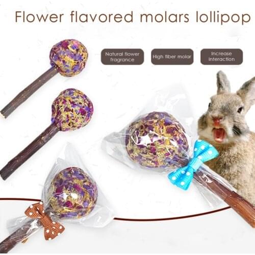 10 Pcs Hamster Rabbit Teeth Grinding Natural Apple Tree Branch Molar Stick Rose Petal Grass Ball Chew Toy Small Pet Supplies