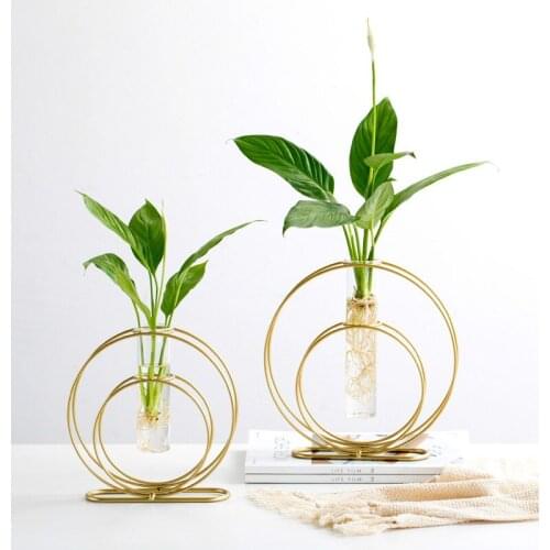 Golden Wrought Iron Vase Transparent Glass Test Tube Vase Home Decoration Vase Table Decoration Decoration