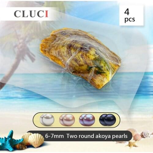 CLUCI 4pcs Oyster with Akoya Pearl Genuine Assorted Color Pearl Bead 6-7mm Cultured Round Twins Akoya Pearls in Oysters WP037SB