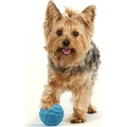 Pet Dog Toys Rubber Ball Toy Funny Interactive Big Inflatable Ball Dog Chew Toys For Dog Tooth Clean Ball Of Food