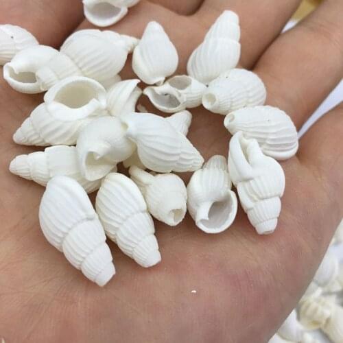 Natural shell White Conch Pendants Exquisite Charms for Jewelry Making DIY Bracelet Necklaces earring Accessories Size 10x18mm