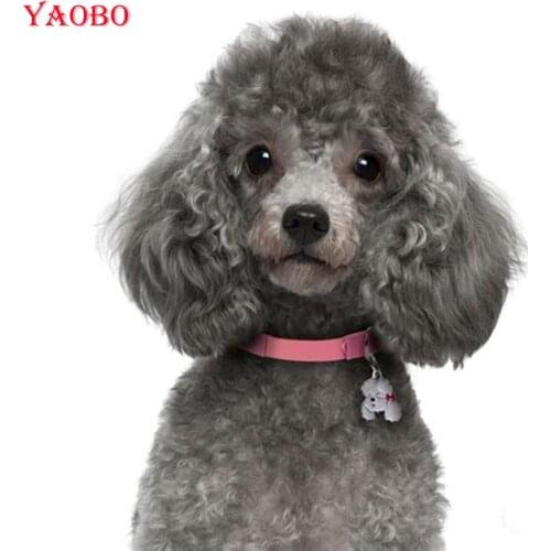 Cute dog pet picture Full square/Round Diamond embroider"poodle"diamond Painting Cross Stitch Rhinestone Mosaic diamond picture