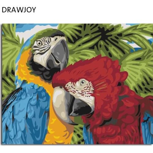 DRAWJOY Framed DIY Painting By Numbers Home Decor DIY Canvas Oil Painting of Animal For Living Room 40*50cm