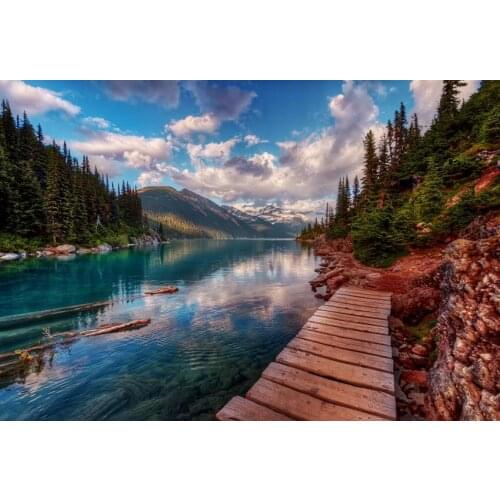 Landscape painting photo backgrounds vinyl fotografia white cloud photography backdrop for photo studio props photophone lv-1591