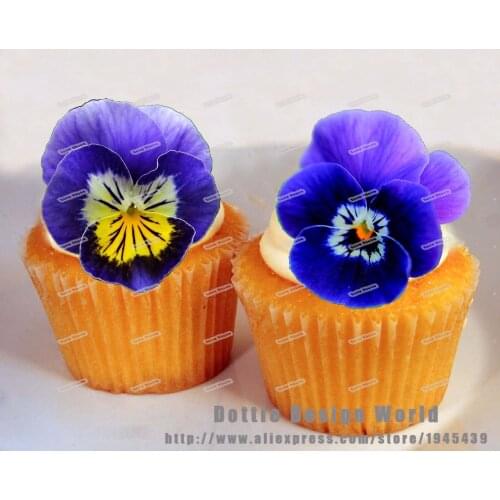 24 Yellow Blue Pansy Flower Edible Cake Topper Wafer Rice Paper Cupcake Cookie Topper Birthday Wedding Cake Decoration Supply