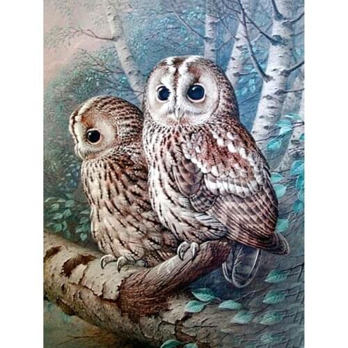 Canvas Size Full Square/Round Drill 5D DIY Diamond Painting "Animal owl" Embroidery Cross Stitch 3D Home Decor