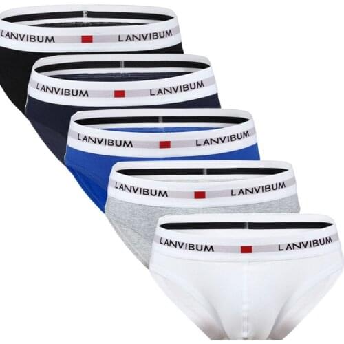 LANVIBUM Men's Classic Briefs