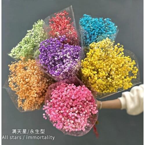 Eternal Gypsophila Dried Flowers Home Party Decor DIY Wedding Garland Living Room Table Decoration Accessor Artificial Plants