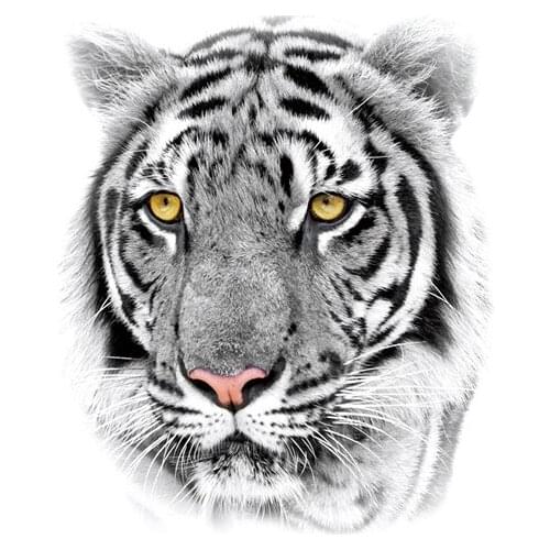 Waterproof Temporary Tattoo Sticker Black Tiger Orange Eyes Realistic Fake Tattoos Flash Tatoo Arm Legs Body Art for Women Men