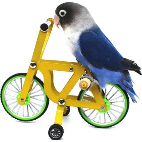 Parrot Trick Tabletop Puzzle Bicycle Toy for Small Medium Birds Parakeets Cockatoo Eclectus Conures S/L