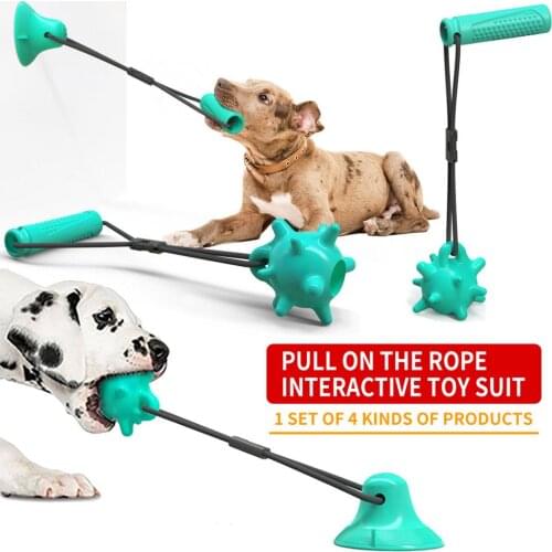 Pet supplies new product sucker dogs toy molar bite resistant club buy 1 top 4 sets
