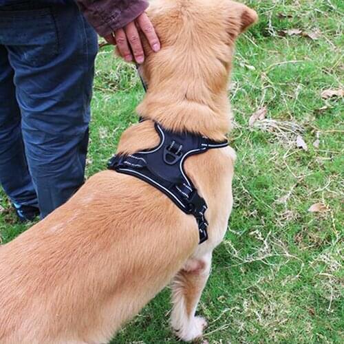 S-XXL Dog Safety Vest No-pull Sport Reflective Dog Harness Medium Large Dog Outdoor Safety Jacket Training Walking Harnesses 3