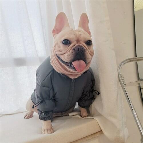2020 Winter Dog Down Coat Jacket Reflective Warm Pet Clothing Schnauzer Pug French Bulldog Costume Welsh Corgi Clothes Dropship