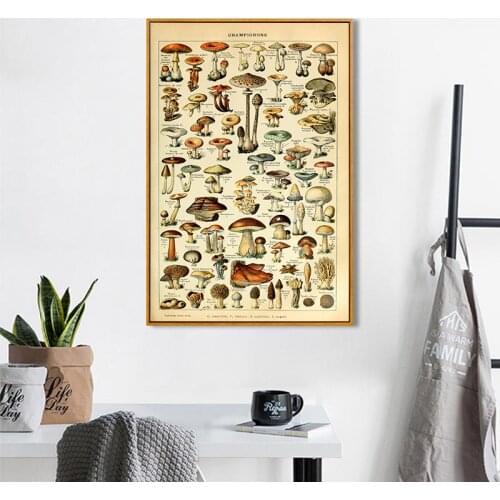 Vintage Mushroom Poster Antique Botanical Prints French Version Educational Wall Art Canvas Painting Kitchen Pictures Home Decor