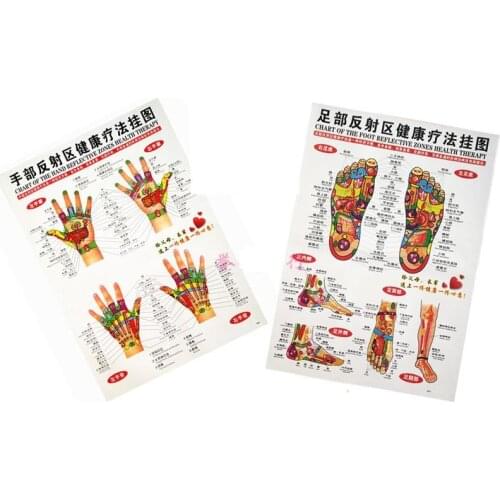 Human meridian Hand foot Visceral anatomical location map Scrapping acu-points wall diagram acupuncture reflective zones chart