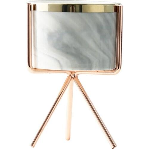 Vase Iron Flower Stand Metal Watanabes Porcelain Small Succulents Gold-plated Succulent Pot Tabletop Creative Ceramic Flowerpot