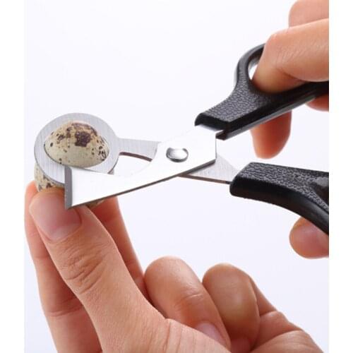 Quail Egg Scissors Eggshell Cutter Stainless Steel Quail Pigeon Bird Quail Eggs Cutter Opener Cracker Kitchen Clipper Tool
