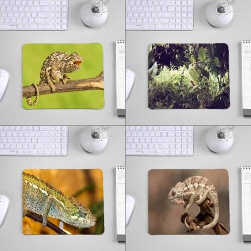 Mairuige Lizard Chameleon Beauty Pattern Table Mousepad To Decorate Desktop and For Pc Computer Game Player Gaming Mouse Pads