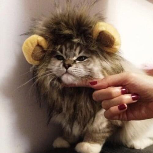 Cut Pet Wig with Ears for Dogs or Cats Christmas Cosplay Costumes Festival Party Clothes Fancy Dress Up