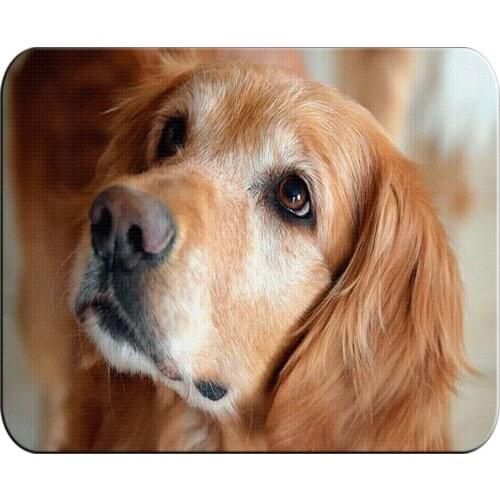 MERCHANDMANIA Big Dog Mat GOLD RETRIEVER very cute for raton computer pc laptop accessory personalized