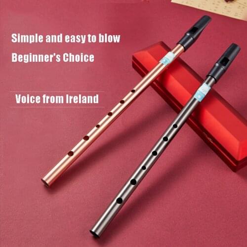 C/D Key 6 Holes Metal Flute Irish Tin Whistle Flute Steel Alloy Musical Instrument Musical Mini Small Sax Musical Instrument