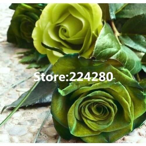 New Needlework,Cross stitch,14CT Unprinted for Embroidery kits Art Two green roses flower Cross-Stitching,DIY Handmade decor