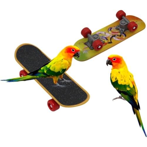 1 Pcs Bird Parrot Intelligence Toys Mini Training Skateboard For Budgies Parakeet Growth Toy Pet Toy