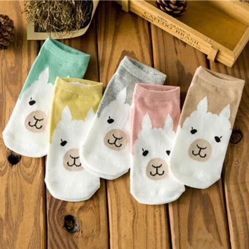 LKWDer New 2021 Spring Summer 5 Pairs Women Ankle Socks Korean Cute Cartoon Candy Color Bear Female Boat Socks Cotton Soft Meias