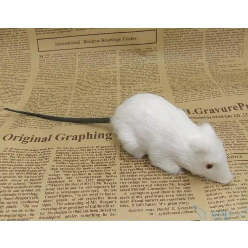 New creative simulation mouse toy polyethylene & fur white mouse model gift about 10x5cm138